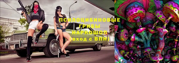 амф Саяногорск