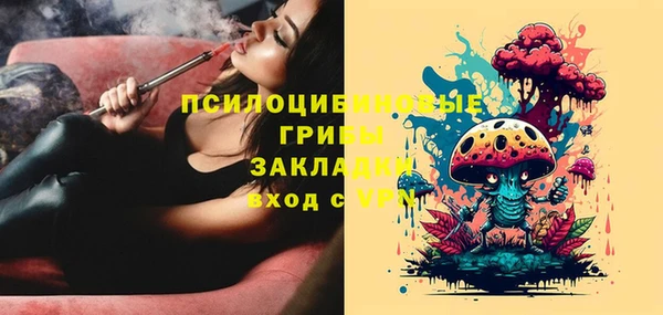 герыч Сатка