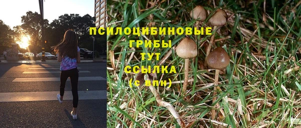 герыч Сатка