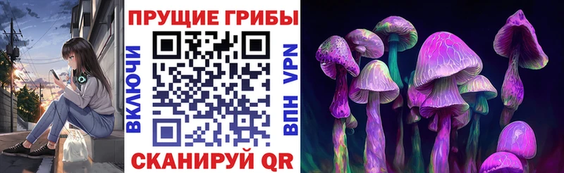 мега зеркало Сосновый Бор Псилоцибиновые грибы Magic Shrooms где продают